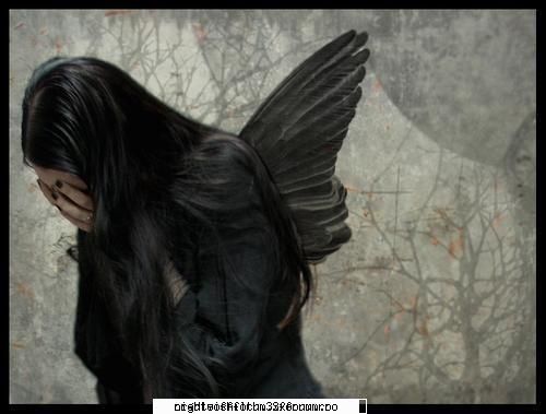 cool pics - black_sun - Anti-plictiseala
