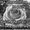 cool pics - Love_Nightwish - Anti-plictiseala