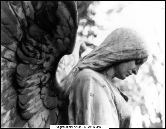 cool pics - black_sun - Anti-plictiseala