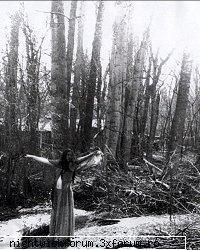 cool pics - black_sun - Anti-plictiseala